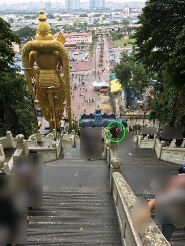 バツー洞窟（Batu Caves）　上から下を眺める　猿