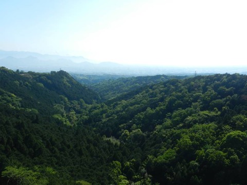 三島スカイウォーク 吊り橋からの景色